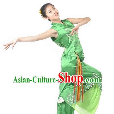 Professional Chinese Classical Dance Costumes Carnival Costumes China Shop  Dance Costumes for Women