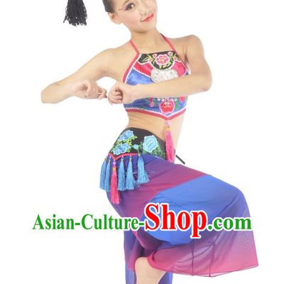 Professional Chinese Stage Dance Costumes Carnival Costumes China Shop  Dance Costumes for Women
