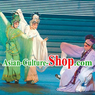 Chinese Traditional Xu Xian Bai She Qing She Opera Costumes 3 Sets