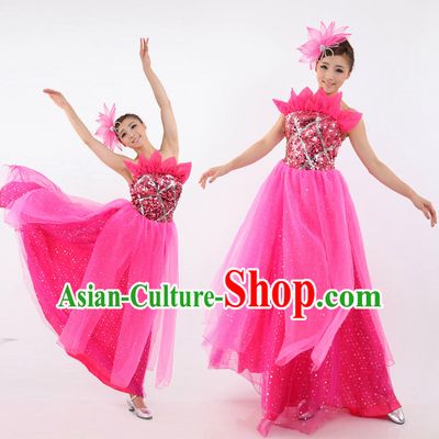 Chinese Ball Dance Costumes Apparel Dance Stores Dance Gear Dance Attire and Hair Accessories Complete Set for Women