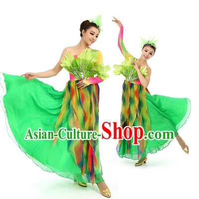 Chinese Stage Professional Dancing Costumes Apparel Dance Stores Dance Gear Dance Attire and Hair Accessories Complete Set