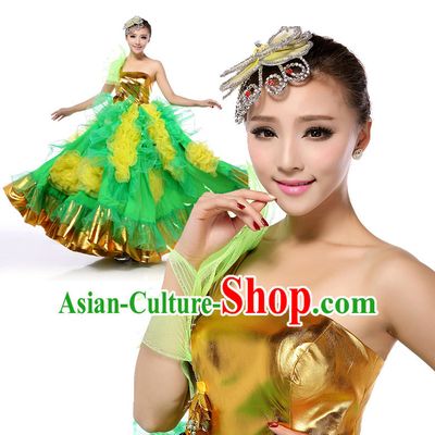 Chinese Stage Costumes Dance Stores Dance Gear Dance Attire and Hair Accessories