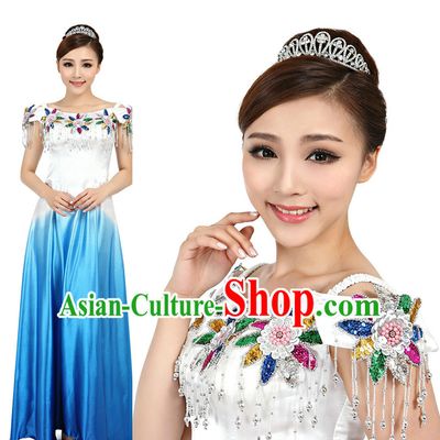 Asian Chinese Professional Stage Costumes Dance Stores Dance Gear Dance Attire and Hair Accessories Complete Set
