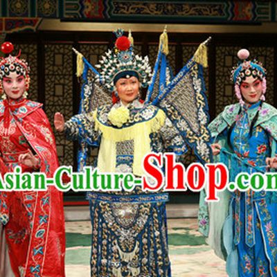 Chinese Ancient Wu Tan Costumes Fighting or Military Female Character Costume Three Sets