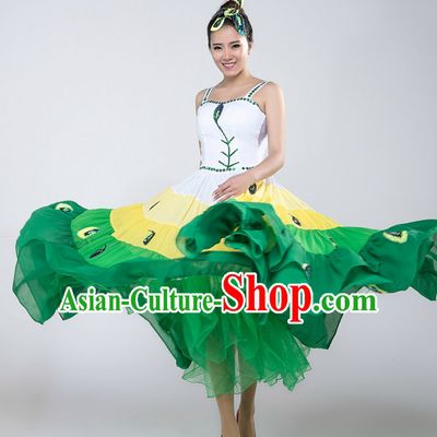 Chinese Professional Competition Dance Costumes for Women