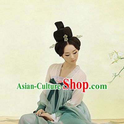 Traditional Chinese Photo Costume Tang Dynasty Costumes and Hair Accessories for Women