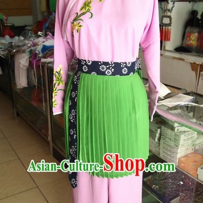 Traditional Chinese Dance Costumes Costume for Women