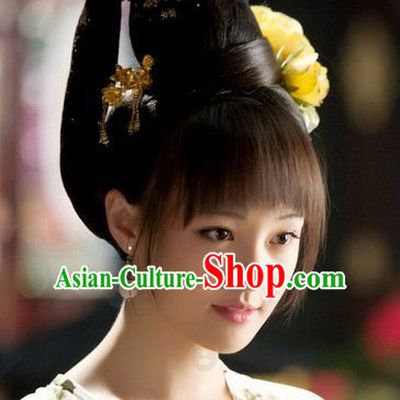 Ancient Chinese Princess Bun, Whole Wig and Hair Accessories