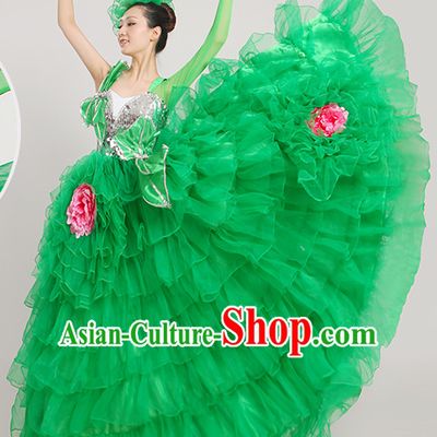 Chinese Ballroom Dancing Fan Dance Costume for Women