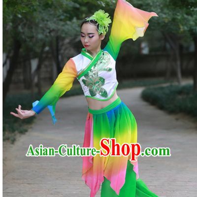 Chinese Folk Fan Dance Costume and Headdress Complete Set