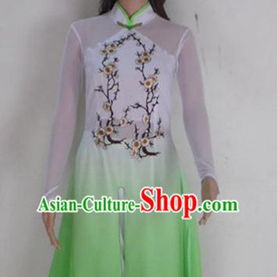 Chinese Teenagers Classical Dance Costume for Competition