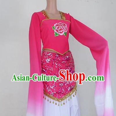 Water Sleeves Chinese Teenagers Classical Dance Costume for Competition