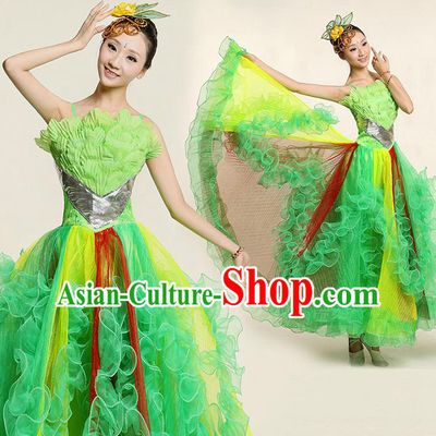 Chinese Dance Costume Competition Costumes Dancewear China Dress Dance Wear and Headpieces Complete Set