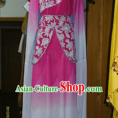 Water Sleeves Chinese Classic Dance Costume Competition Costumes Set