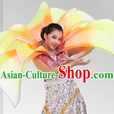 Chinese Stage Celebration Flower Dancewear Dance Costumes Complete Set for Women