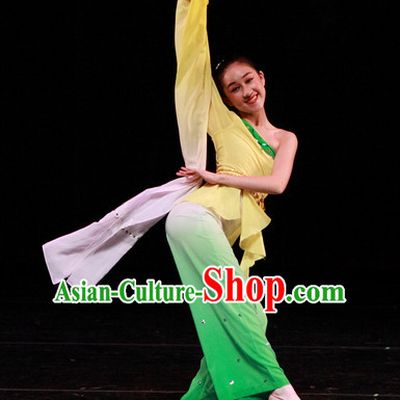 Chinese Long Sleeves Dance Apparel Dance Supplies