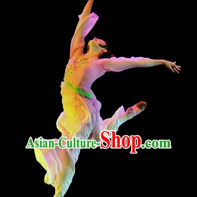 Chinese Classic Dancing Costume and Wigs for Women