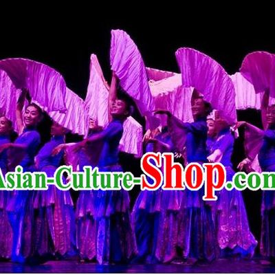 Chinese Blue Fan Dancing Group Costume for Girls