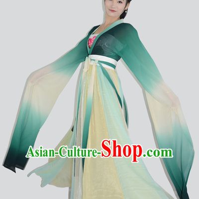 Ancient Chinese Long Sleeves Hanfu Garment and Hair Accessories Complete Set for Women