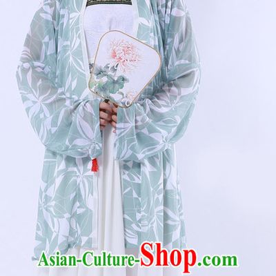 Ancient Chinese Han Dynasty Hanfu Garment and Hair Accessories Complete Set for Women