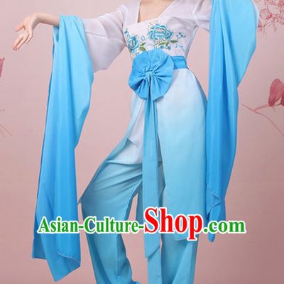 Chinese Classical Water Sleeve Shuixiu Dance Costumes Complete Set for Women