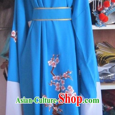 Blue Ancient Chinese Scholar Costumes Complete Set for Men