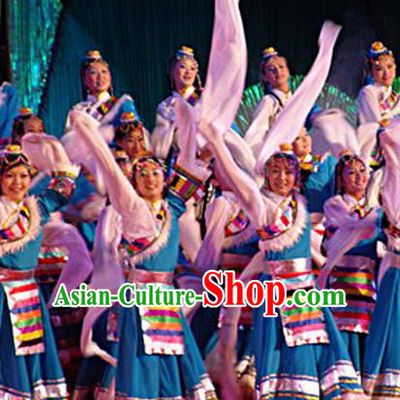 Traditional Chinese Zang Nationality Dancing Costume, Tibetan Female Folk Dance Ethnic Pleated Skirt, Chinese Tibetan Minority Nationality Embroidery Costume for Women
