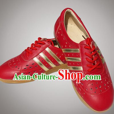 Top Tai Chi Shoes Kung Fu Shoes Martial Arts Mulan Fan Shoes