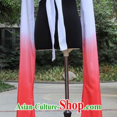 Chinese Classic Water Sleeve Dance Costumes for Women or Girls