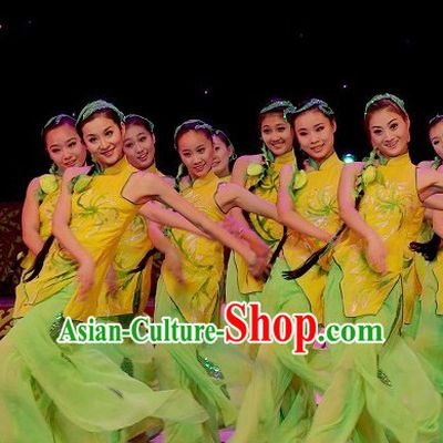 Professional Chinese Folk Village Dance Costume for Women Girls Adults Kids