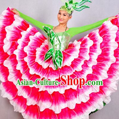 Chinese Classicial Flower Dancing Costumes Dancewear and Headpieces Complete Set for Women