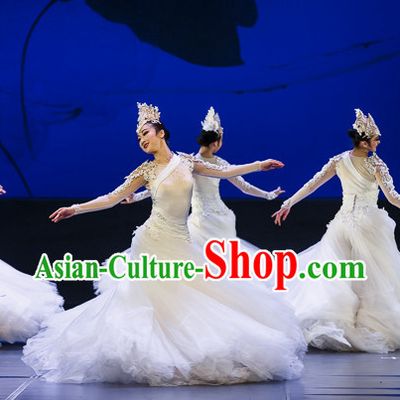 Chinese Professional Stage Dancing Costumes and Headpieces Complete Set for Women