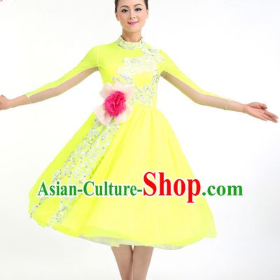 Traditional Chinese Dance Costumes Custom Dance Costume Folk Dance Chinese Dress Cultural Dances and Headdress Complete Set