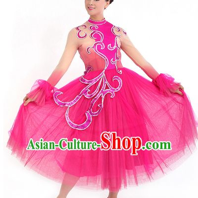 Traditional Chinese Dance Costumes Custom Dance Costume Folk Dance Chinese Dress Cultural Dances and Headdress Complete Set
