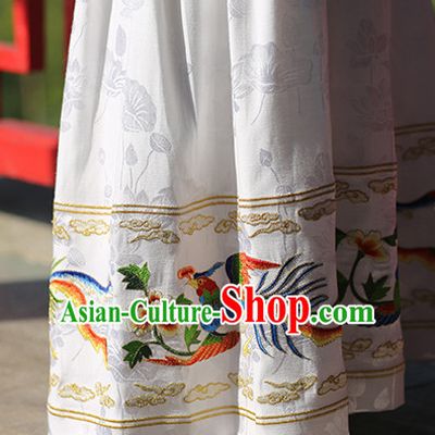Ancient Chinese Hanfu Dress Skirt China Traditional Clothing Asian Long Dresses China Clothes Fashion Oriental Outfits for Women
