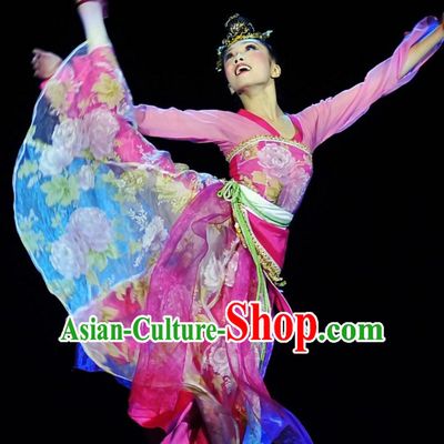 Tong Que Nv Traditional Chinese Classical Dancing Dancewear Dance Costumes for Women