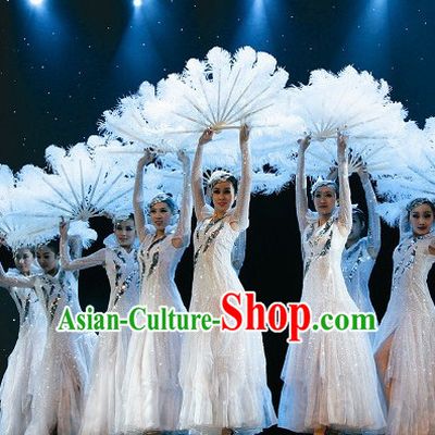 Chinese Traditional Snowflower Dance Costumes Complete Set for Women or Gilrs
