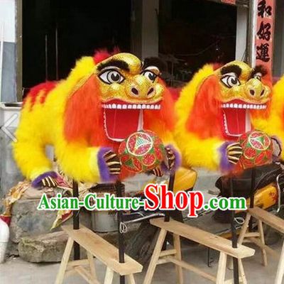 Two Persons Holding Lion Dance Props Costumes for Display or Collections