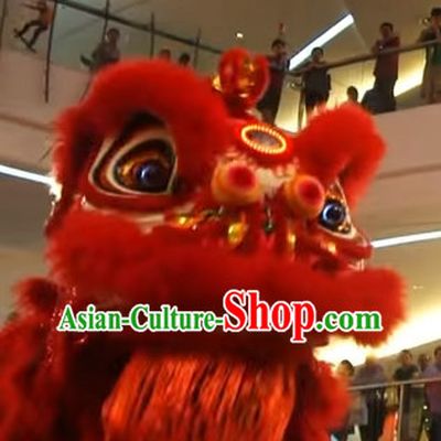 Red Chines Gong Xi Fa Cai Style Red Hok San Lion Dance Equipments Complete Set