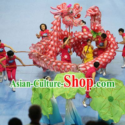 Most Beautiful Best Handmade Supreme Chinese Dragon Dance Costumes Complete Set