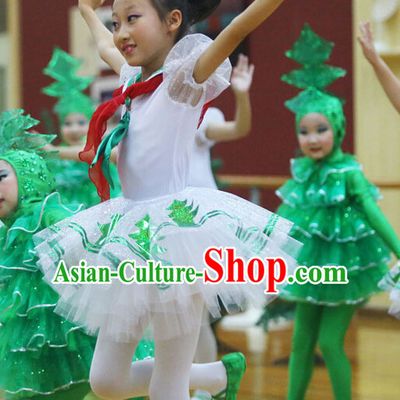 Chinese Traditional Primary School Dance Costumes Complete Set for Kids