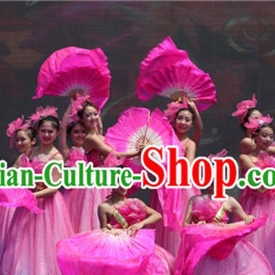 Traditional Asian Chinese Pink Flower Dancing Costumes Complete Set for Women