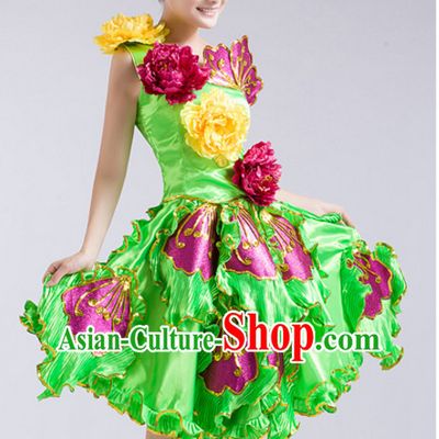 Chinese Flower Dance Costumes and Headdress Complete Set for Women