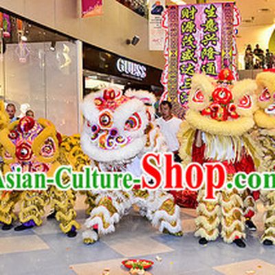 Big Opening Ceremony 100_ Natural Long Wool Lion Dance Equipment Complete Set