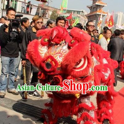 Big Opening Ceremony 100_ Natural Long Wool Lion Dance Equipment Complete Set