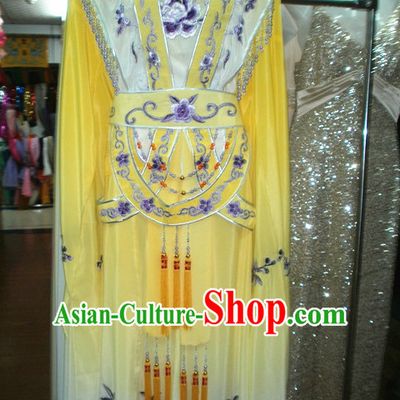 Ancient Chinese Stage Performance Classical Beauty Dance Costumes