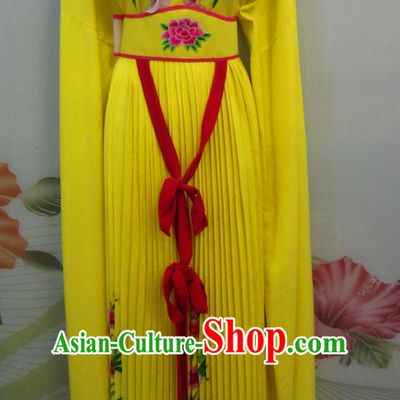 Ancient Chinese Stage Performance Classical Beauty Water Sleeves Dance Costumes