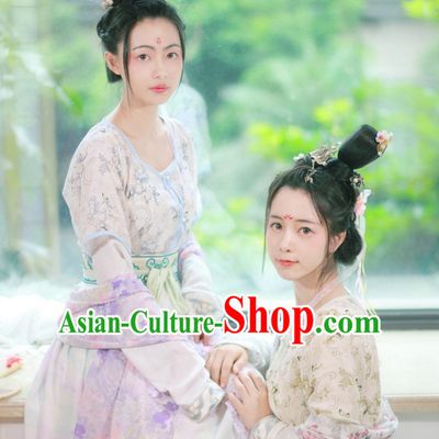 Traditional Chinese Tang Dynasty Clothing Dresses Skirt and Hair Jewelry Complete Set for Women