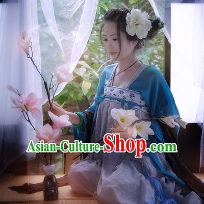 Traditional Chinese Tang Dynasty Hanfu Suit Clothing Dresses Skirt and Hair Jewelry Complete Set for Women