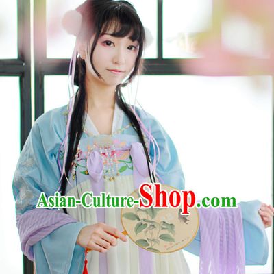 Traditional Chinese Tang Dynasty Hanfu Suit Clothing Dresses Skirt and Hair Jewelry Complete Set for Women
